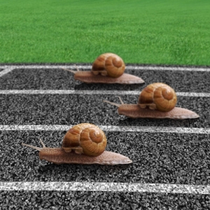 What’s Bogging Down your Network?