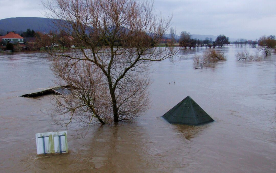 Quikteks Flood IT Survival Guide