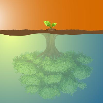 How IT Benefits Business Growth